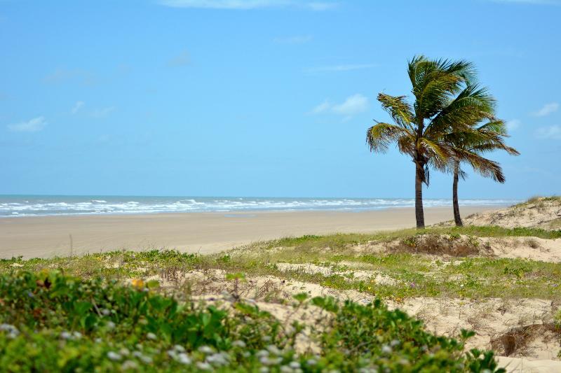 Tropical Mar